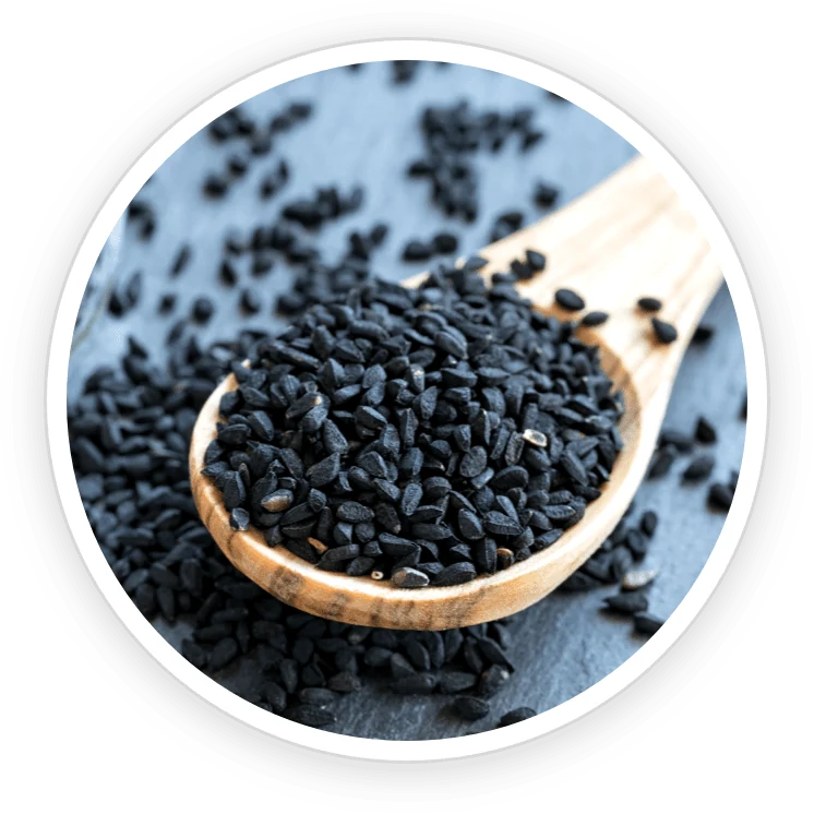 Babchi (Psoralea corylifolia): evidence and safety