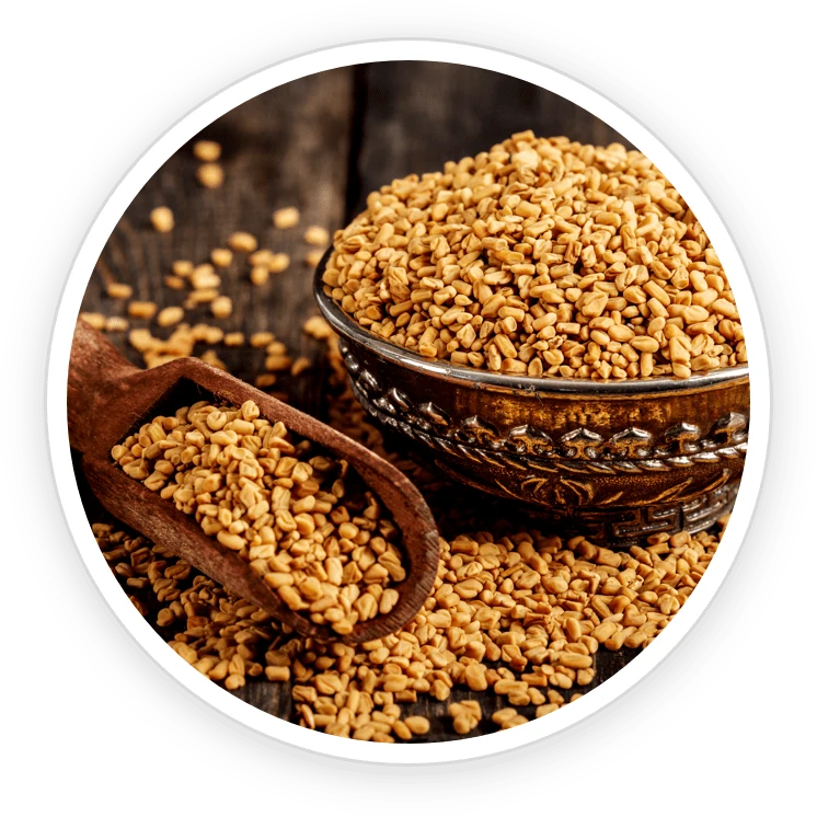 Fenugreek: evidence, tolerability and PrimeBiome context